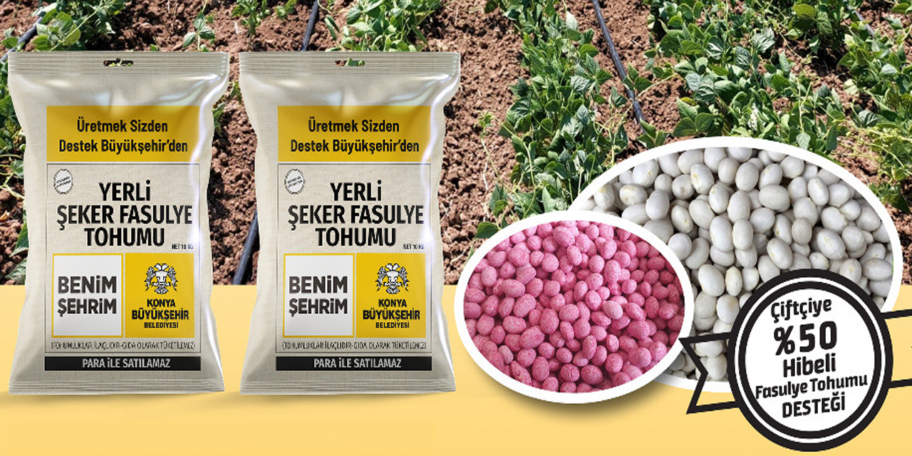 Konyalı üreticiye yüzde 50 hibe destekli yerli şeker fasulye tohumu desteği!