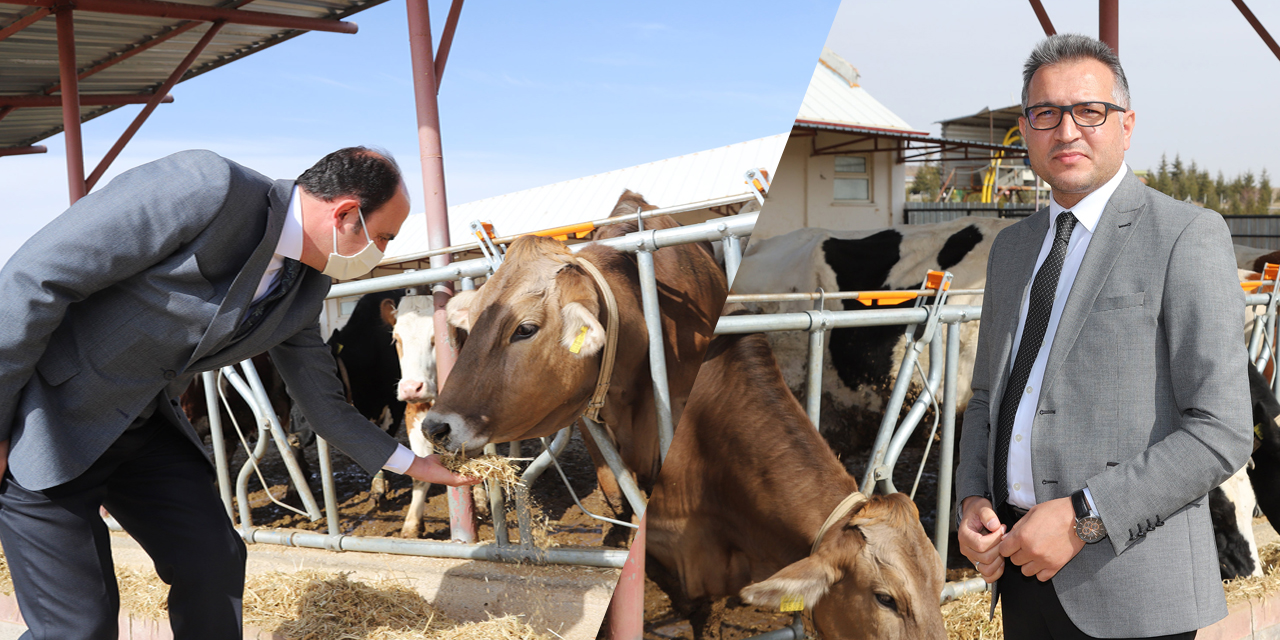 Konya tarım ve hayvancılığı için örnek iş birliği!