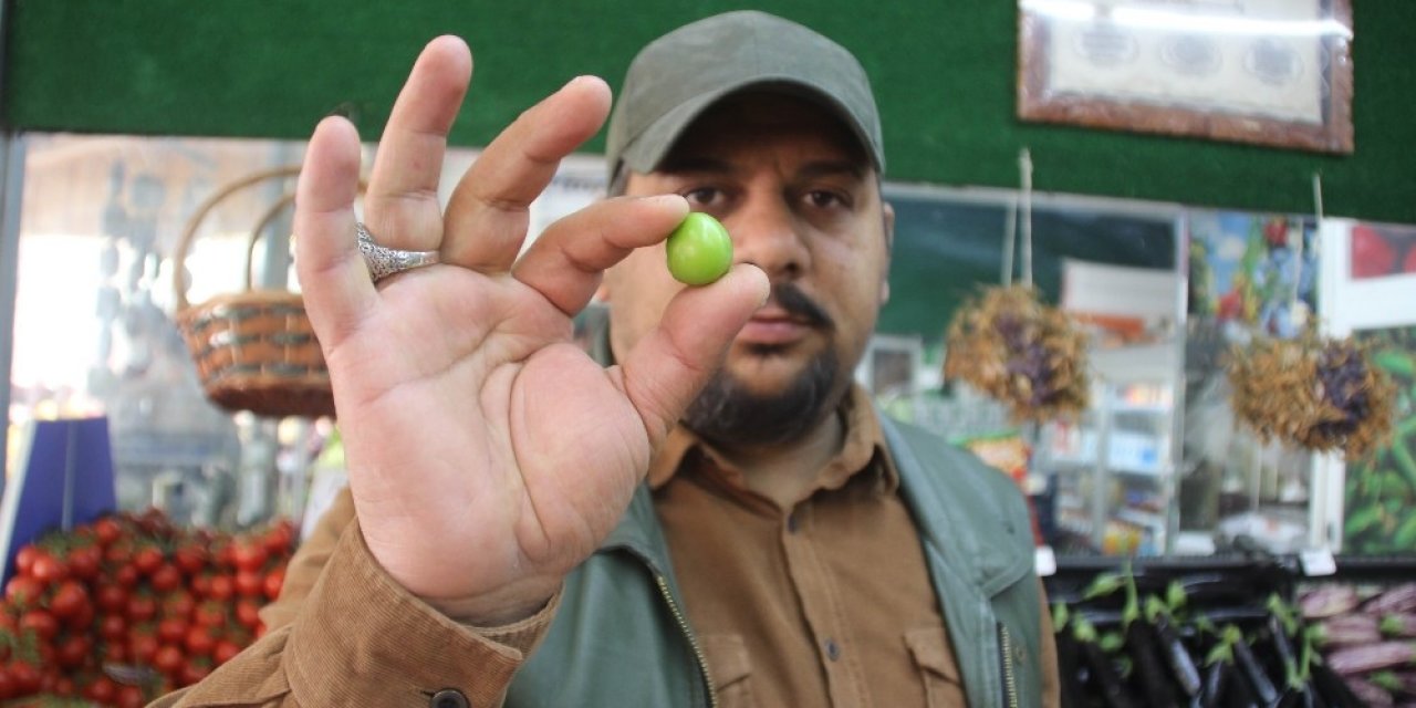 Hamilelerin gözdesi eriğin fiyatı pastırmayı ikiye katladı