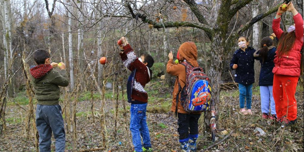 Konya'da minik öğrenciler merhametleriyle kuşlara hayat oluyor