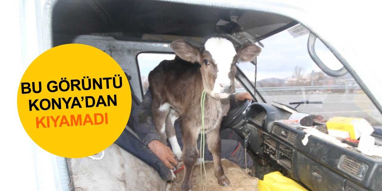 Konya'dan gülümseten görüntüler! Yavruyu ön koltukta taşıdı