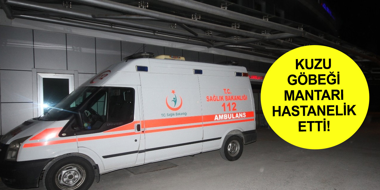 Konya’da kuzu göbeği mantarını çiğ yiyen yaşlı adam hastanelik oldu