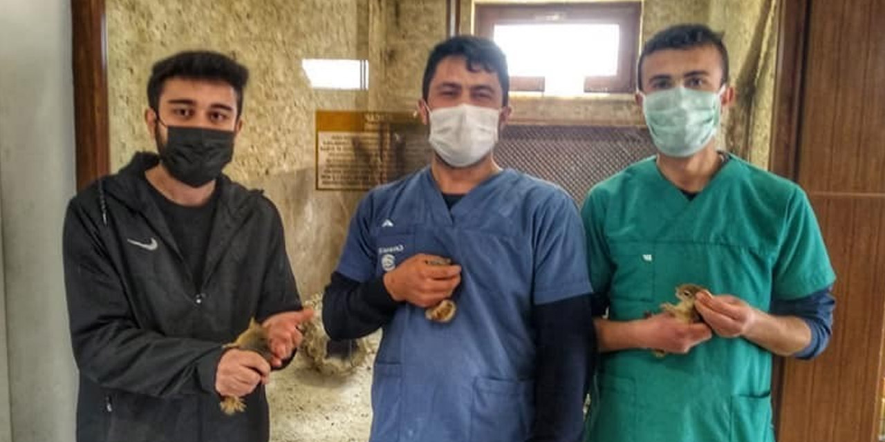 Konya’da sincap ticaretine ceza