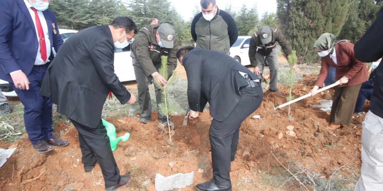 Konya Beyşehir’de fidanlar şehitler ve gaziler için toprakla buluştu
