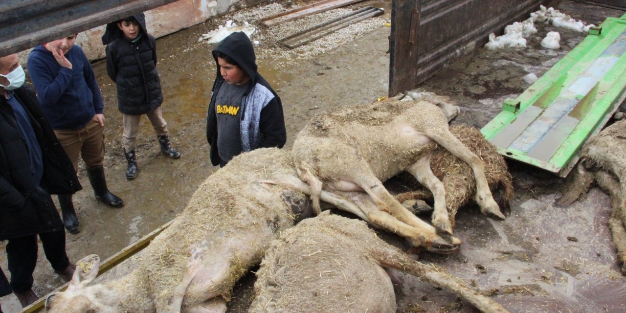 Karaman’da 21 küçükbaşın telef olduğu sürüyü köylüler kurtardı