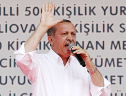 Onlar kaymak takımı