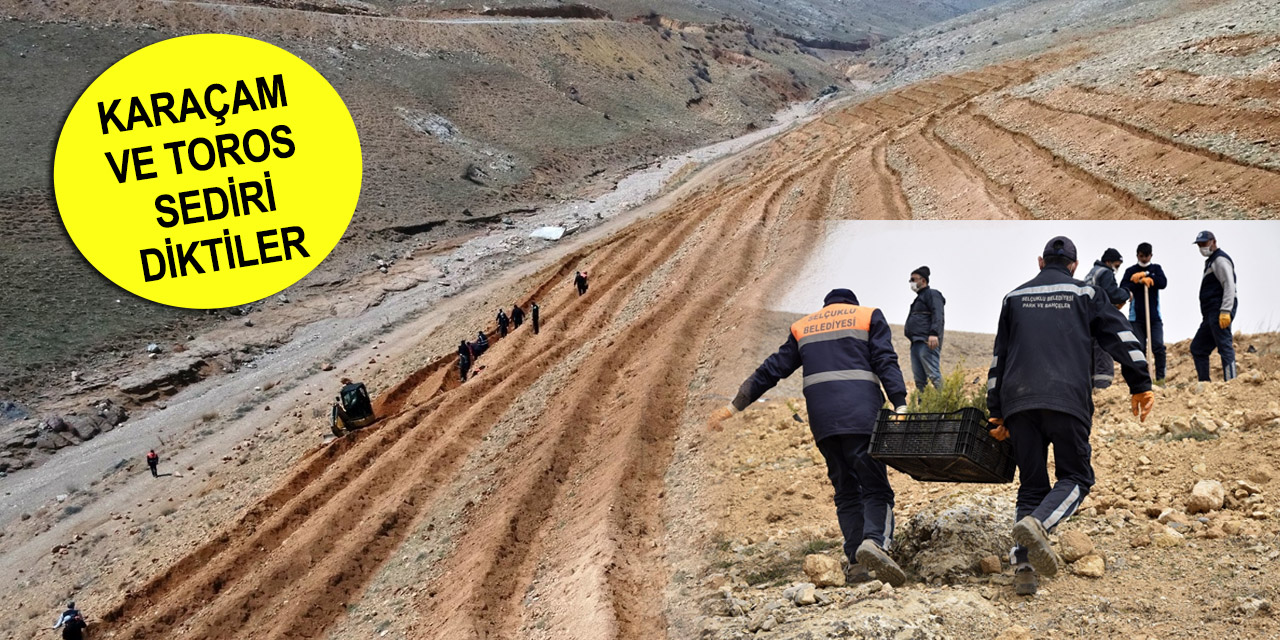 Konya İncik Çayı mevkiine 5 bin fidan dikildi