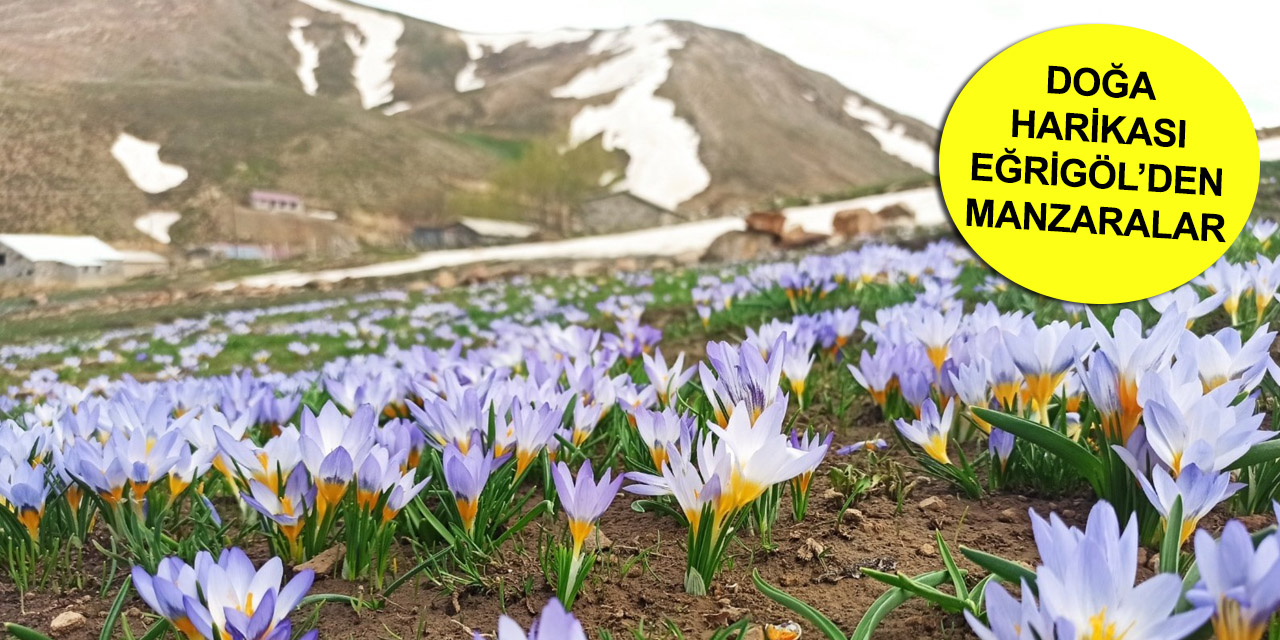 Konya Eğrigöl'de muhteşem bahar
