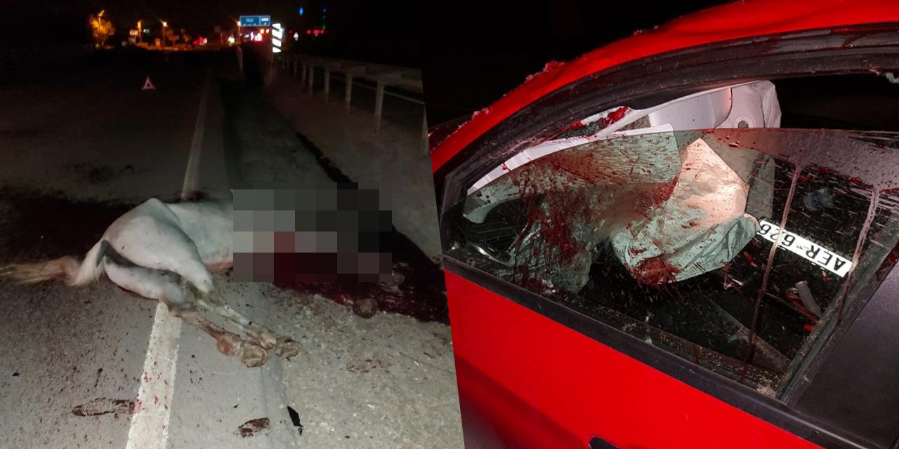 Ahırdan kaçan at karayoluna çıktı! Otomobilin çarptığı at telef oldu sürücü yaralandı