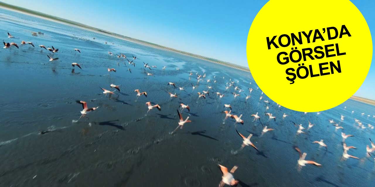 Konya'da görsel şölen! Havalar erken ısınınca erken geldiler