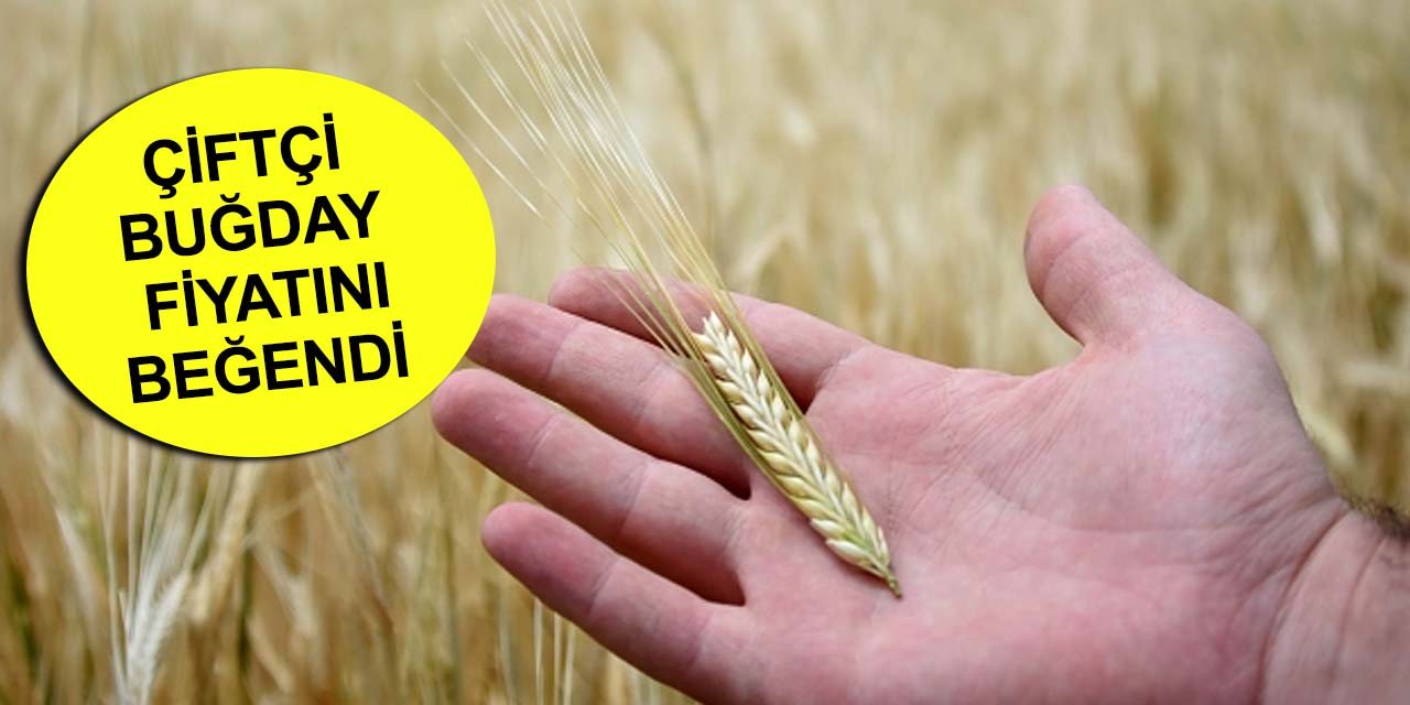 Konyalı çiftçiler Cumhurbaşkanı Erdoğan'ın açıkladığı buğday fiyatını beğendi