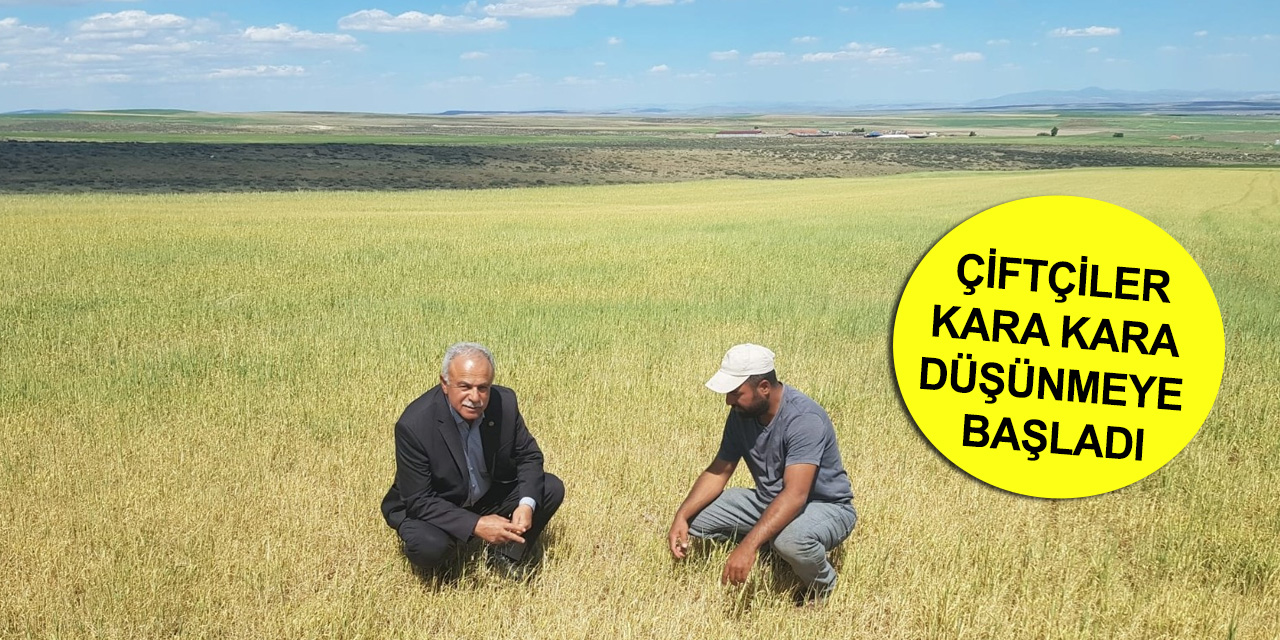Konya'da kuraklık ekili alanları vurdu!