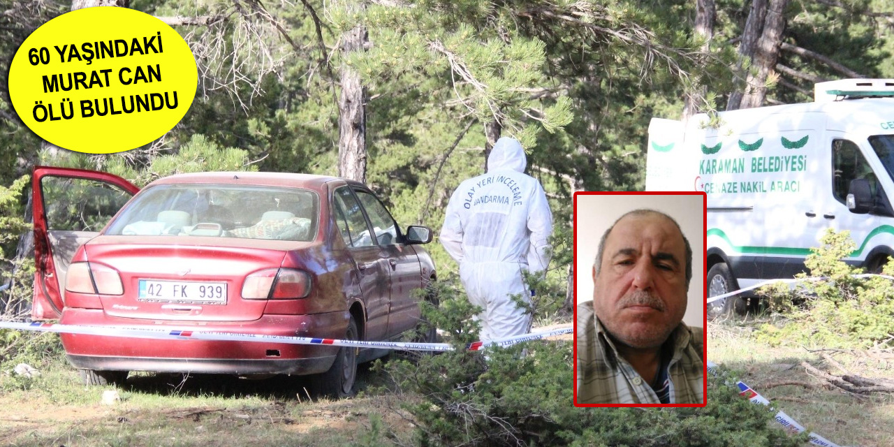 Günlerdir aranan şahsın cesedini piknikçiler ağaçta buldu
