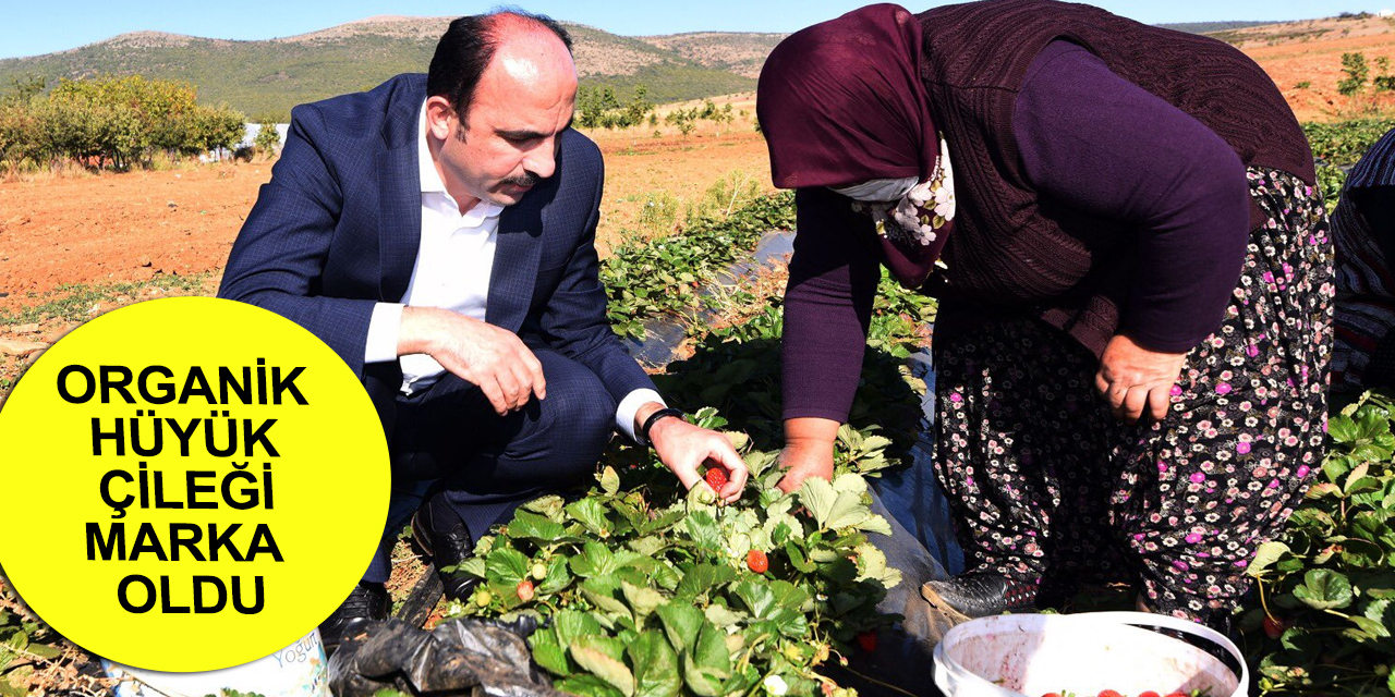 Hüyük Çileği Coğrafi İşaret Tescil Belgesi alarak marka oldu!