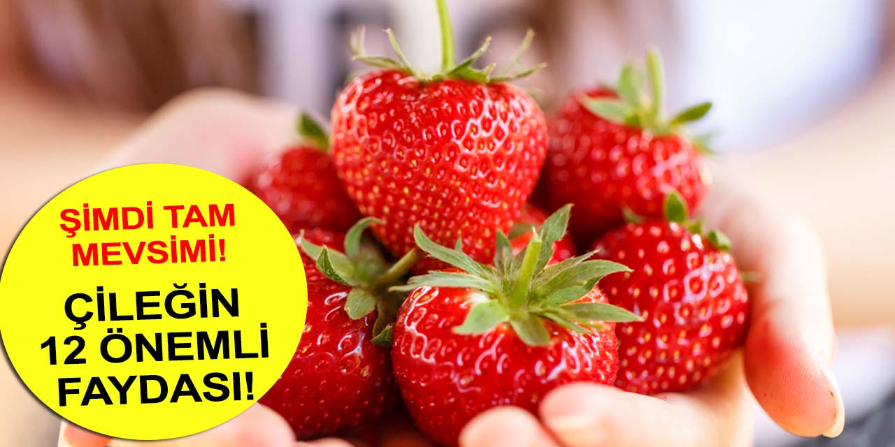 Vitamin ve mineral deposu çileğin bilinmeyen faydaları!