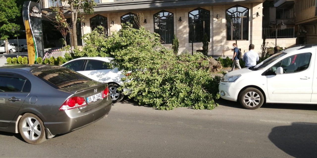 Ankara Da Sert Esen Ruzgar Agaci Iki Aracin Uzerine Devirdi