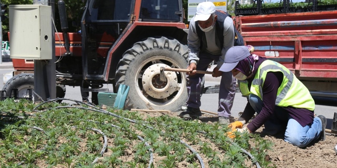 Konya Ereğli çiçeklendiriliyor