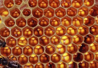 Sağlığınız için bu tavsiyelere uyun!