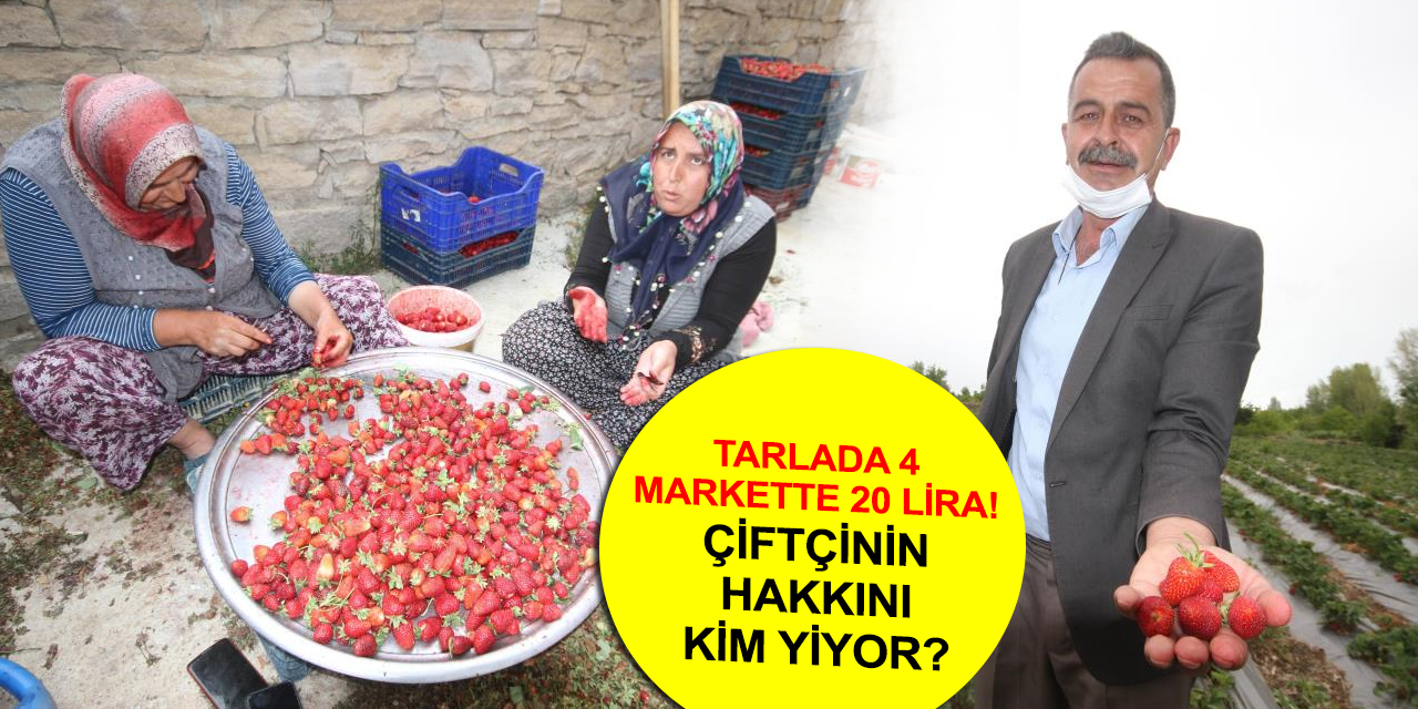 Markette 20 liraya satılan coğrafi tescilli Hüyük çileği üreticisine hayal kırıklığı yaşattı!
