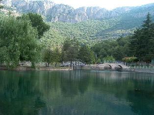 Seydişehirliler Kuğulu Park'ta serinliyor