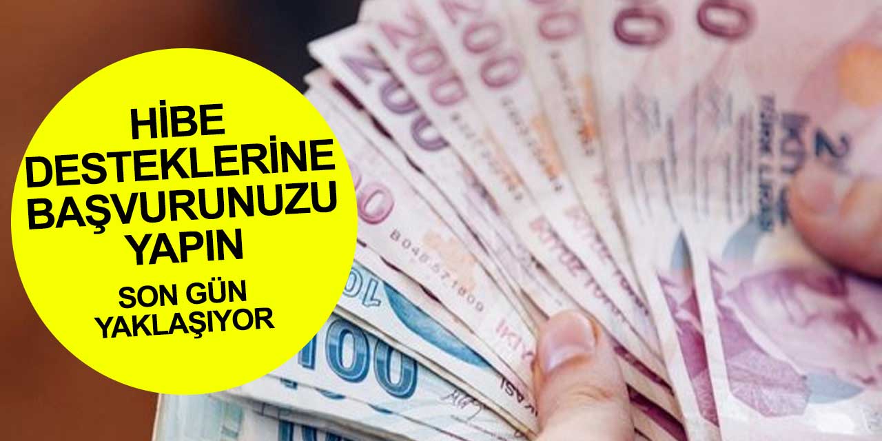 Koronavirüs hibe desteklerinden faydalanmadıysanız elinizi çabuk tutun
