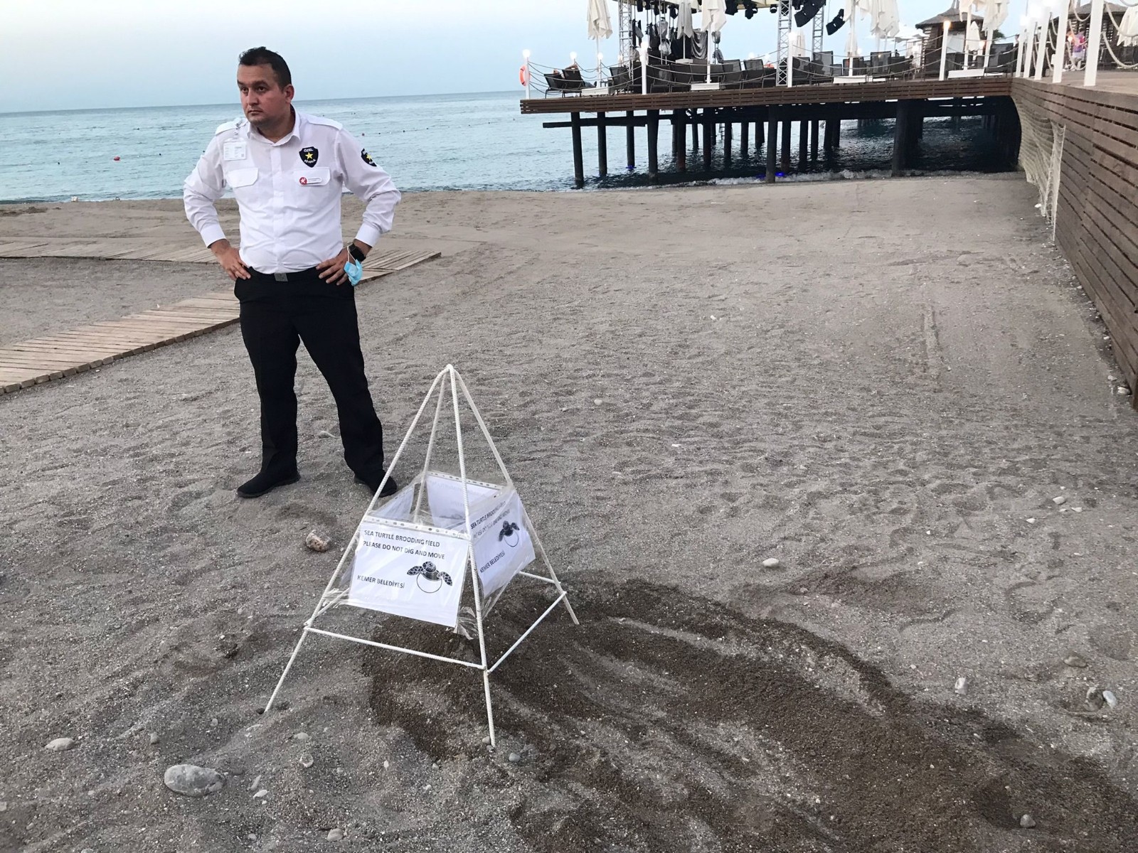 Turizm sezonunu açan Antalya'da hayvanlara sahilde yer yok