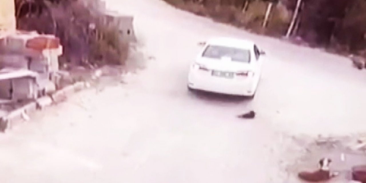 Konya'da yavru köpeğin üzerinden geçen sürücü kameraya yakalandı