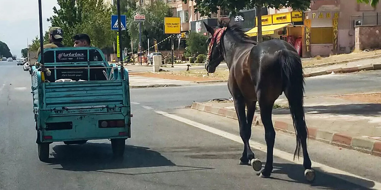 Kahramanmaraş'ta atı motosiklete bağlayarak çeken şahıslara ceza yağdı