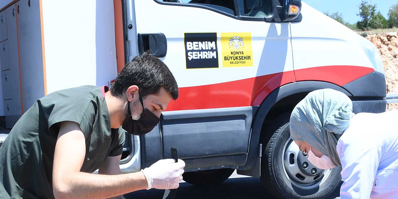 Türkiye'de herkes hayvan haklarını konuşurken Konya Büyükşehir Belediyesi ambulansa isim buldu! İşte canbulan
