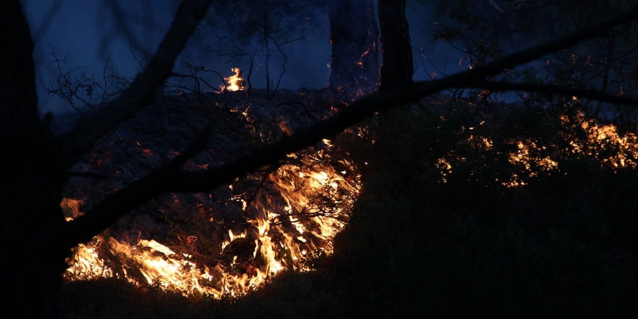 Foça’daki yangın 5 saat sonra büyük ölçüde kontrol altına alındı