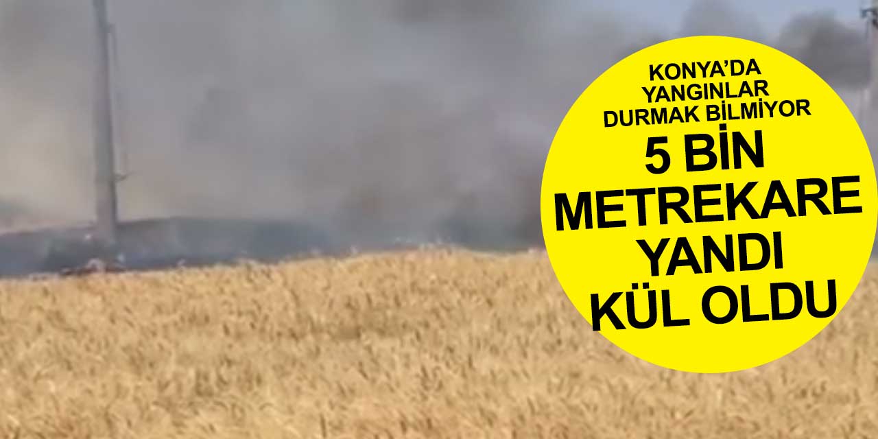 Konya'da felaketlerin ardı arkası kesilmiyor! 5 bin metrekare arazi yandı küle döndü