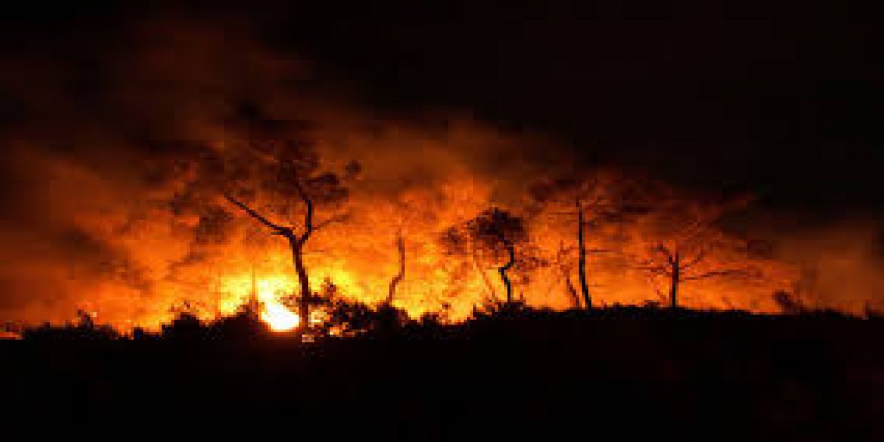 Manisa'da 6 ayrı noktada orman yangını!