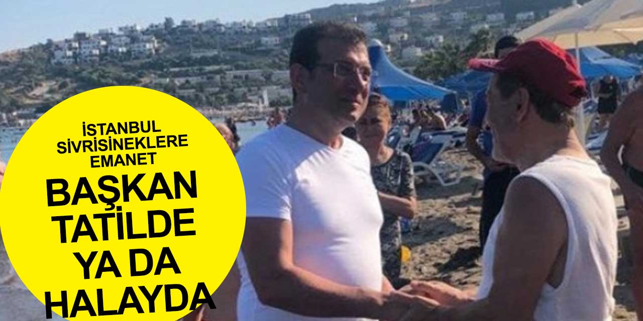 Sivrisinekler İstanbul'u istila etti! Hastanelerde vakalar artıyor! İmamoğlu'nun ikinci senesinde kabus sürüyor