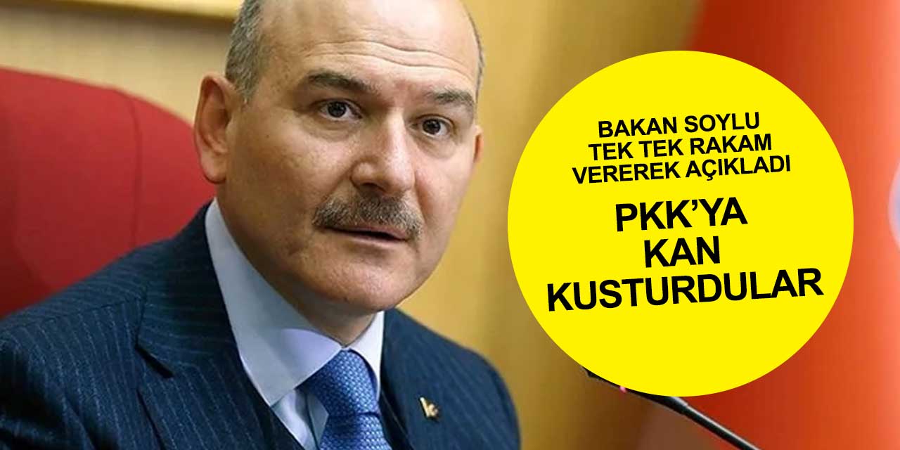 Terör örgütü PKK'ya kan kusturdular