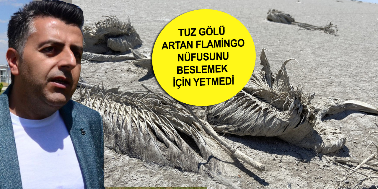 Prof. Darılmaz'dan flamingo ölümlerine dair ilginç detay! Pandemi nüfusu artırdı