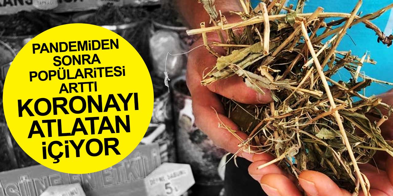 Pandemiden sonra popülaritesi artan sinirli ot hastalığın bıraktığı etkileri azaltıyor
