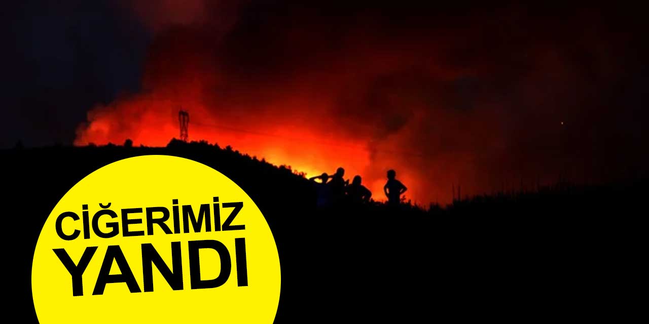 Türkiye'nin ciğerleri yandı! Manavgat'taki yangın faciası, Konya sınırındaki Akseki'ye de sıçradı