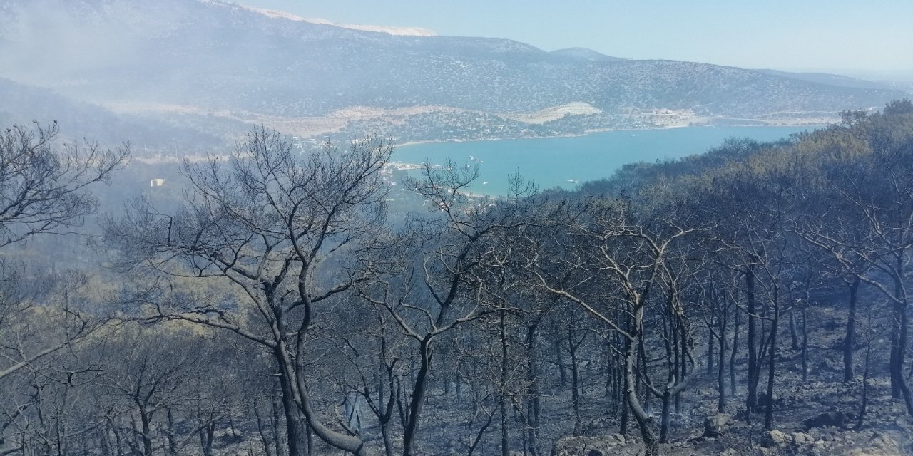 Silifke’deki orman yangını etkisini artırıyor! Karadan ve havadan müdahale sürüyor