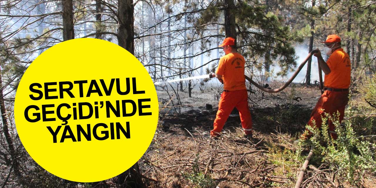 Karaman Sertavul Geçidi'nde yangın çıktı