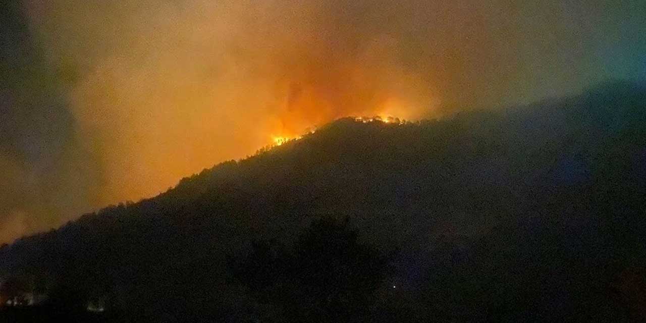 Antalya'nın Gazipaşa ilçesinde 4 farklı noktada yangın