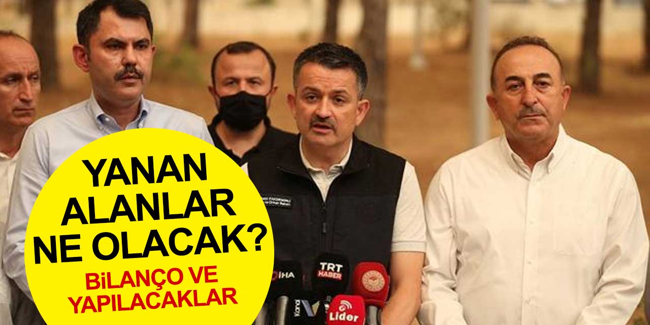 Yangın bölgesine giden bakanlardan ortak açıklama! Yanan ormanlık alanlar ne olacak?