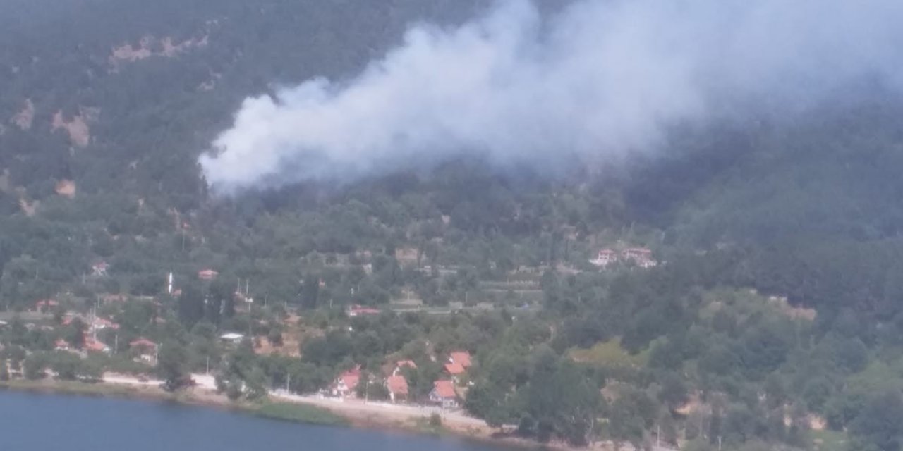 İzmir Ödemiş'ten yangın haberi geldi! Havadan ve karadan müdahale başladı
