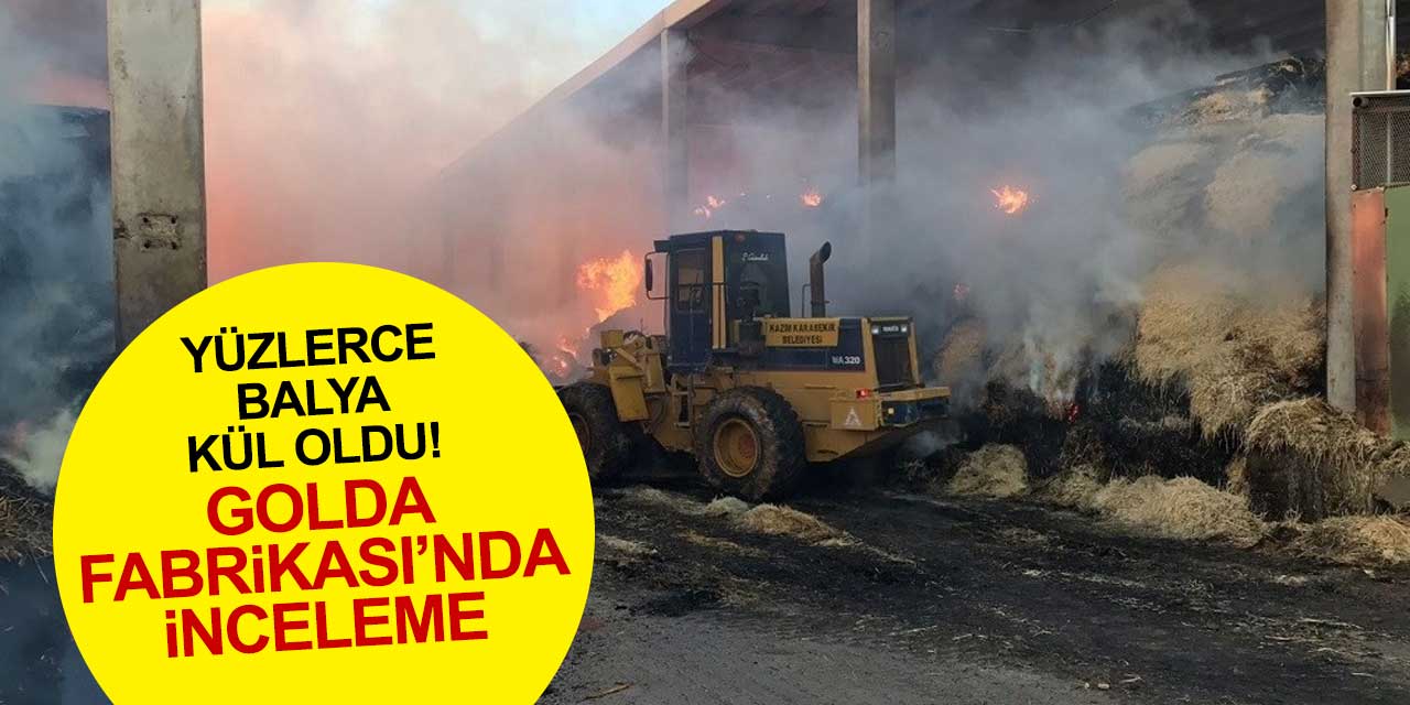 Yüzlerce balyanın kül olduğu Golda Fabrikası'nda inceleme