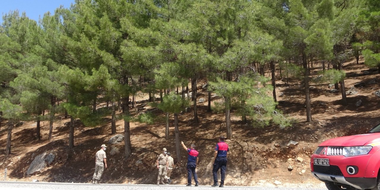Adıyaman'da orman yangınlarına karşı sıkı tedbir