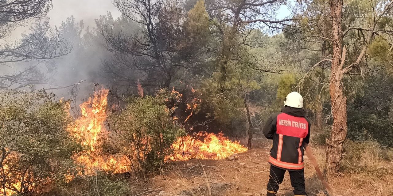 Silifke ormanları gün boyu yanmaya devam etti! Havadan ve karadan müdahale sürüyor