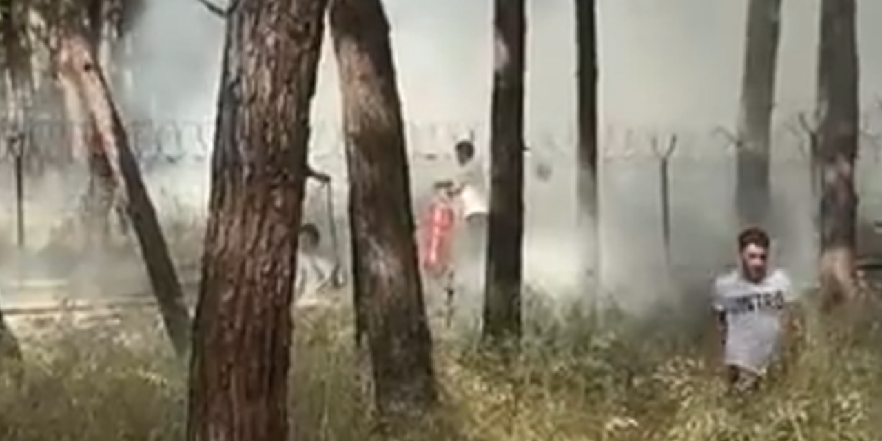 İstanbul Bakırköy'de ağaçlık alanda yangın paniği