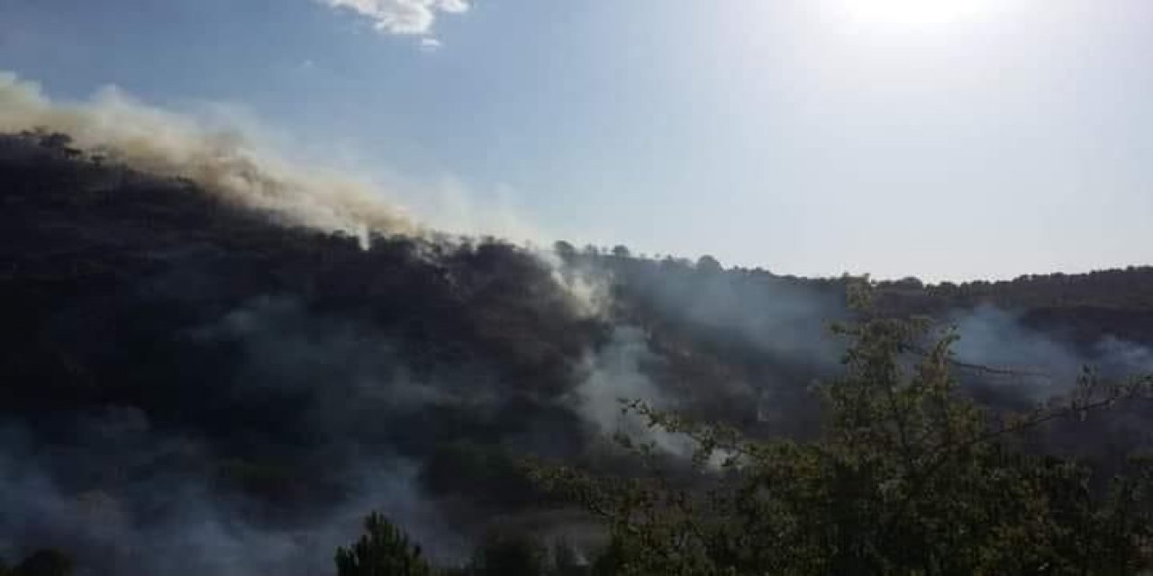 Ankara'da orman yangını