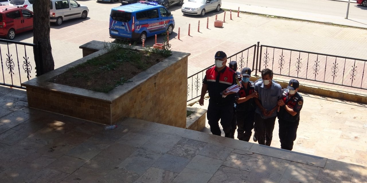 Bilecik'teki orman yangınının şüphelisi serbest bırakıldı