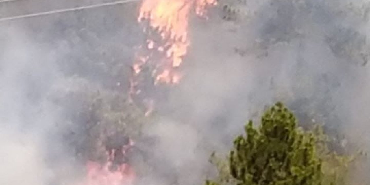 Denizli Cankurtaran'da orman yangını! Yerleşim yerlerini tehdit ediyor