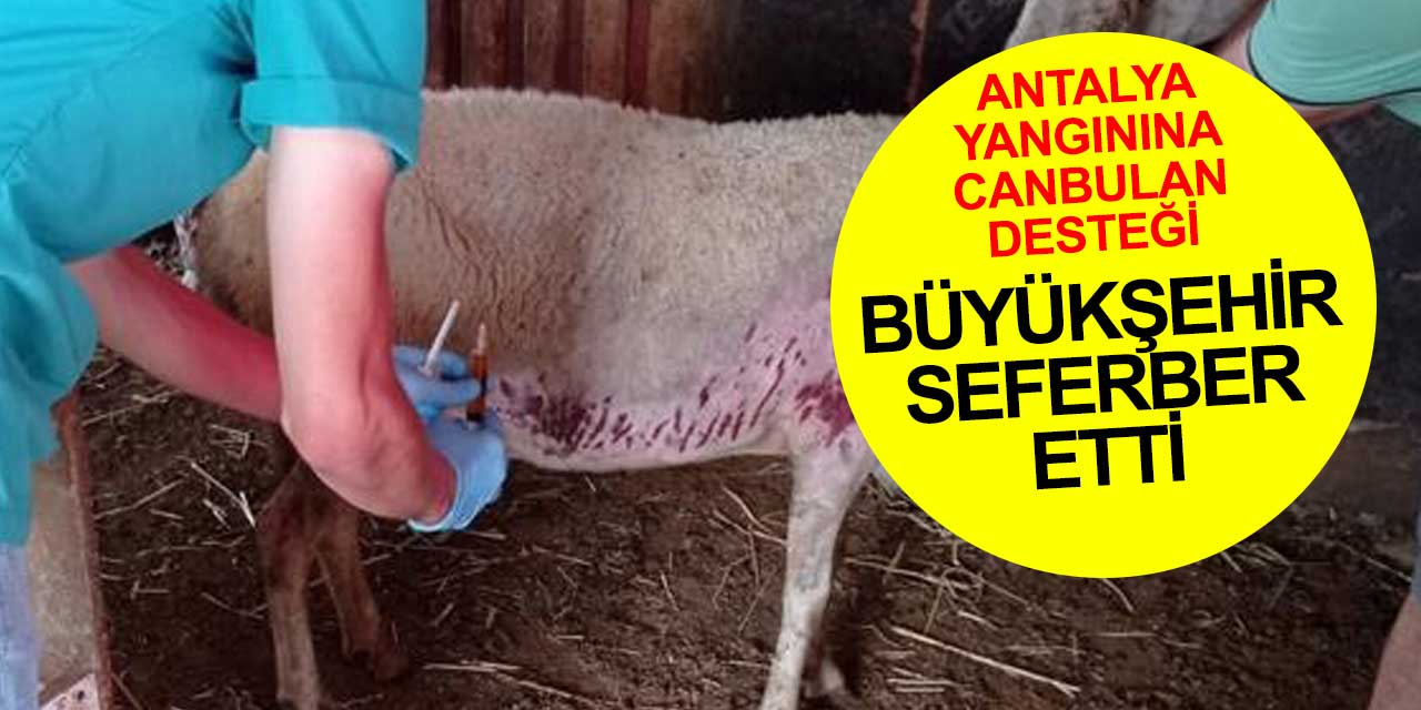 Konya Büyükşehir Belediyesi canbulanı Antalya için seferber etti
